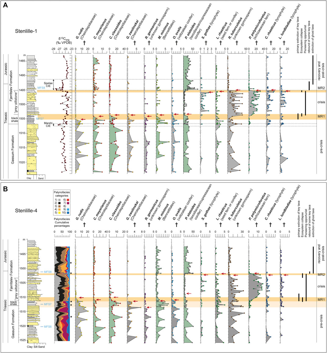 Two-phased Mass Rarity and Extinction in Land Plants During the End-Triassic Climate Crisis